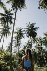 Rückansicht einer Frau mit Blick auf Palmen vor dem Himmel, Sri Lanka - LHPF00716