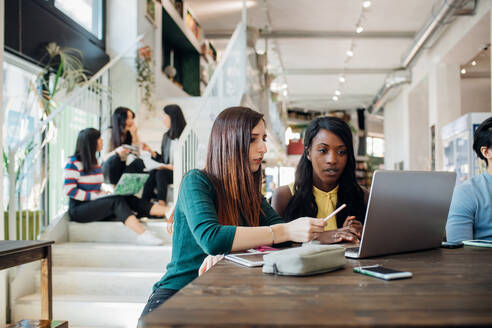 Junge Geschäftsfrauen bei der Fernarbeit, Blick auf den Laptop im Café - CUF52098