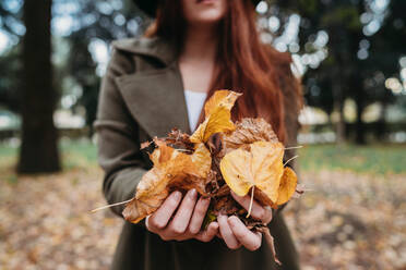 Young woman holding autumn leaves in park, close up of hands - CUF52461