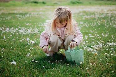 Cute girl in field with basket picking flower petal, Arezzo, Tuscany, Italy - CUF52470