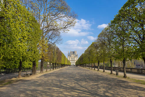 Blick auf den von Bäumen gesäumten Jardin des Tuileries und das Louvre-Museum, Paris, Frankreich - CUF52474