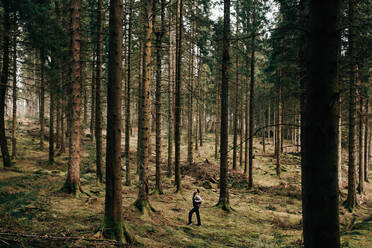 Frau bewundert Bäume, Trossachs National Park, Schottland - CUF52519