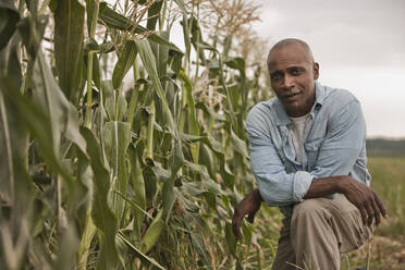 Afroamerikanischer Bauer bei der Feldarbeit - BLEF07854
