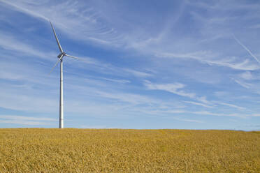 Windkraftanlage in ländlicher Umgebung - BLEF07961