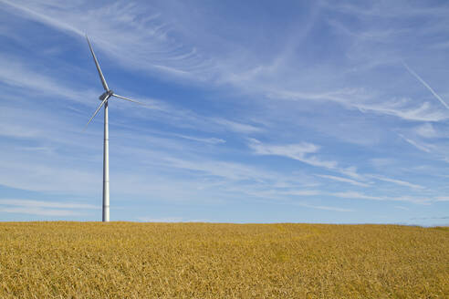 Windkraftanlage in ländlicher Umgebung - BLEF07961
