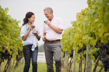 Paar verkostet gemeinsam Wein in einem Weinberg - BLEF08018