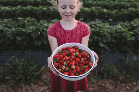 Hoher Winkel Blick auf lächelnde Mädchen mit frischen Erdbeeren in Schüssel gegen Pflanzen, lizenzfreies Stockfoto