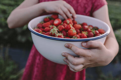 Mittelteil eines Mädchens, das Erdbeeren in einer Schüssel im Hinterhof hält, lizenzfreies Stockfoto