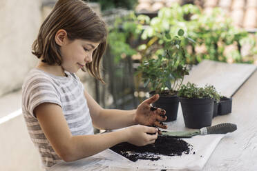 Girl repotting plant - ALBF00934