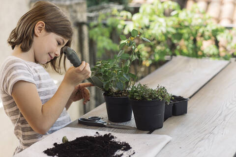 Girl repotting plant stock photo