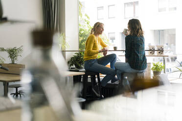 Two girlfriends sitting in coffee shop, drinking coffee - JOSF03418