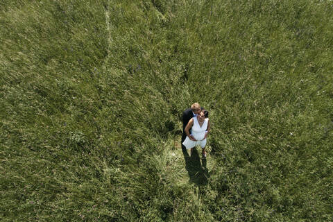 Luftaufnahme einer schwangeren Braut mit ihrem Mann auf einer Wiese, lizenzfreies Stockfoto