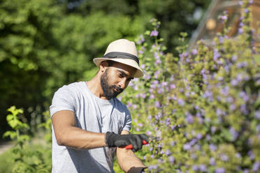 Portrait of bearded young man pruning shrub - SGF02378