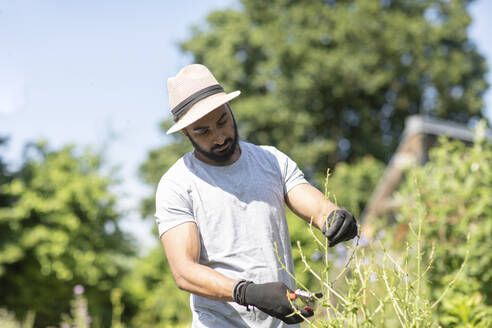 Bearded young man pruning twigs in the garden - SGF02379