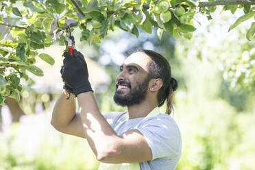 Happy young man pruning twigs of tree - SGF02382