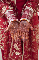 Verziertes indisches Dekor auf den Händen einer kaukasischen Frau - BLEF08418