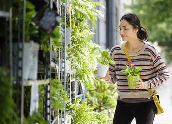 Hispanische Frau beim Einkaufen von Pflanzen in einer Gärtnerei - BLEF08534