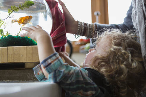 Kaukasische Mutter und kleiner Junge, der ein Fischglas untersucht - BLEF08688