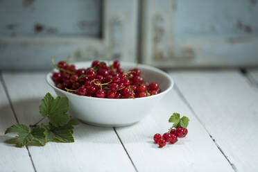 Fresh red currants in bowl - MAEF12900