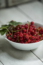 Bowl of fresh red currants - MAEF12901