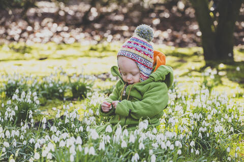 Kleines Mädchen sitzt auf einer mit Schneeglöckchen bedeckten Wiese, lizenzfreies Stockfoto