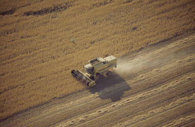Traktor bei der Ernte von Feldfrüchten - BLEF08776