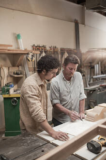Mitarbeiter bei der Holzbearbeitung in der Werkstatt - BLEF08815