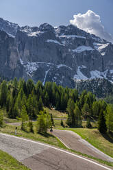 Passstraße, Grödner Joch, Sellagruppe, Dolomiten, Südtirol, Italien - STSF02065