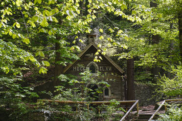 Deutschland, Oberbayern, München, Marienklause Kapelle umgeben von Bäumen - SIEF08738