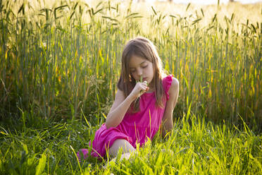 Portrait of young girl wearing vibrant pink dress sitting in front of rye field in summer - LVF08135
