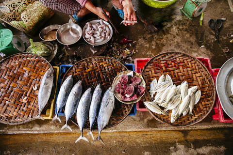 Hochformatige Ansicht eines Verkäufers, der Fische putzt, lizenzfreies Stockfoto