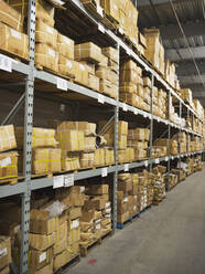 Regale mit Kartons in einer Textilfabrik - BLEF09171