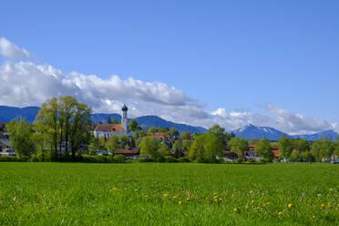 Gras und Bäume vor der Stadt im Alpenvorland, Königsdorf, Bayern, Deutschland - LBF02611