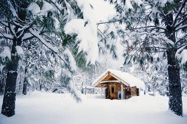 Hütte im verschneiten ländlichen Wald - BLEF09350