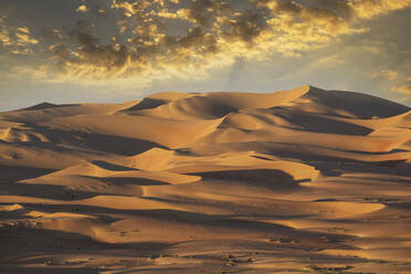 Sanddünen in abgelegener Wüste - BLEF09369