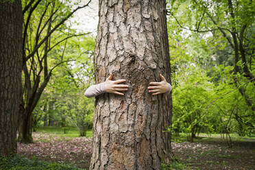 Caucasian woman hugging tree in park - BLEF09405