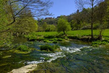 Tauber im Sommer, Rothenburg ob der Tauber, Bayern, Deutschland - LBF02614