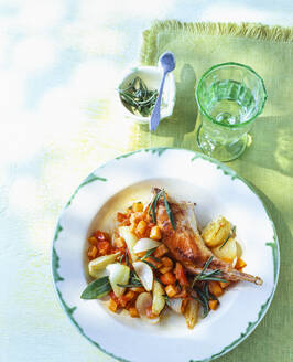 Overhead view of leg of rabbit with onions and vegetables on table outdoors - PPXF00201
