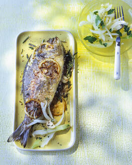 Overhead view of roasted gilthead seabream with fennel on plate - PPXF00202