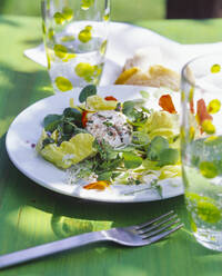 Salat mit Ziegenkäse auf dem Gartentisch - PPXF00208