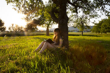 Little girl leaning against tree trunk at sunset reading a book - LVF08163