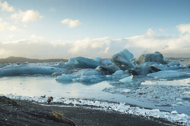 Iceland, South Iceland, Jokulsarlon glacial lake - TAMF01735