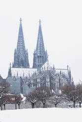 Low angle view of Museum Ludwig and Cologne Cathedral in city against sky - GWF06139