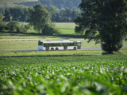Bus moving on highway along green field - CVF01269