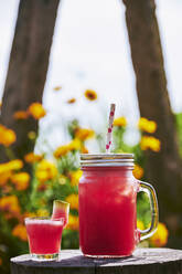 Nahaufnahme eines frischen Wassermelonen-Cocktails mit Glas auf einem Baumstumpf im Garten - BZF00505