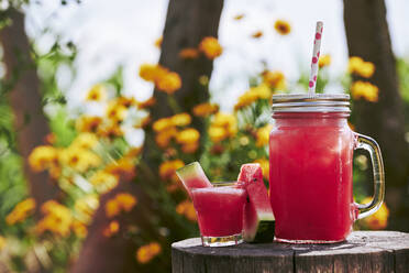 Nahaufnahme eines frischen Wassermelonen-Cocktails in einem Glas und einem Einmachglas auf einem Baumstumpf im Garten - BZF00506