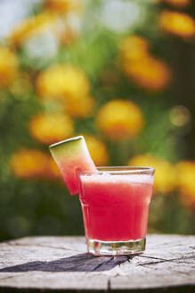 Nahaufnahme eines frischen Wassermelonen-Cocktails im Glas auf einem Baumstumpf im Garten - BZF00507