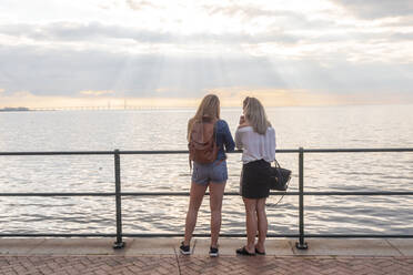 Rear view of friends standing at Oresund bridge by sea against cloudy sky - TAMF01798