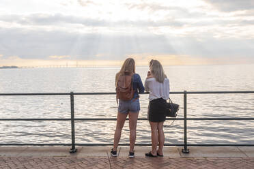 Rückansicht von Freunden, die an der Öresundbrücke am Meer stehen, gegen bewölkten Himmel - TAMF01798