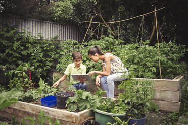 Gemischtrassige Kinder benutzen digitales Tablet im Garten - BLEF09703